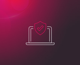 Security for the Hybrid Mesh Network