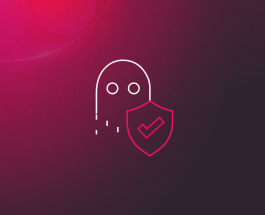 Security for the Hybrid Mesh Network