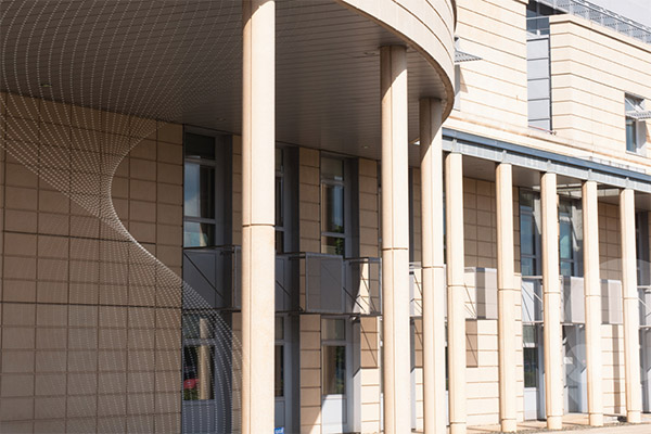 local government - services and data